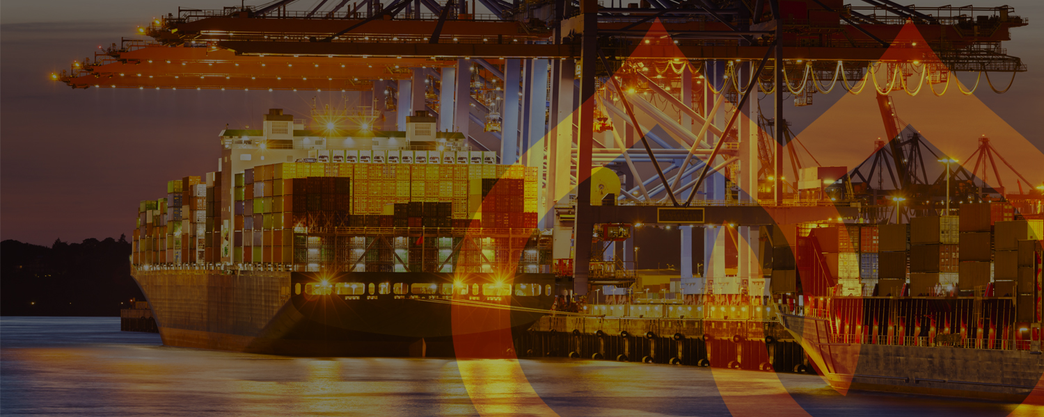 Moulton Bulb Imports