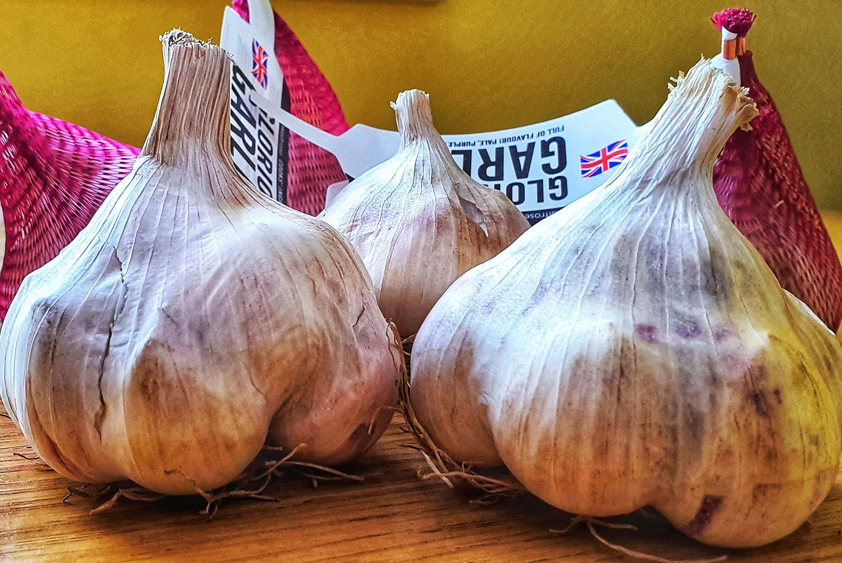 British Garlic Launched in Waitrose