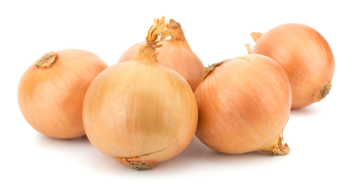 Celebrating Excellence Moulton Bulb Company Achieves AA+ in Annual