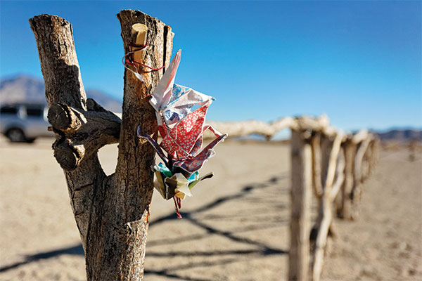 Desert Fruit