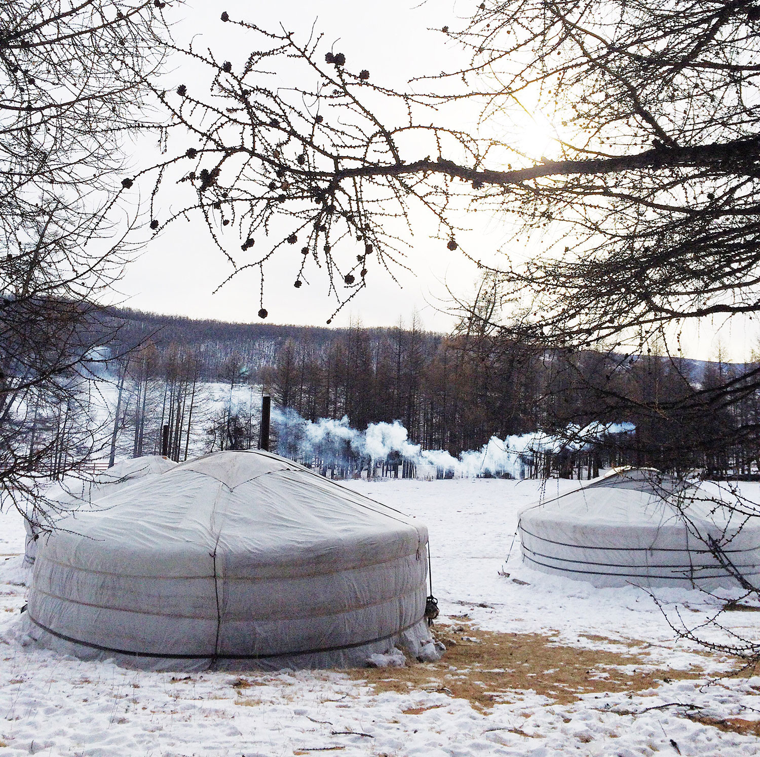 Finding and Feasting in Mongolia