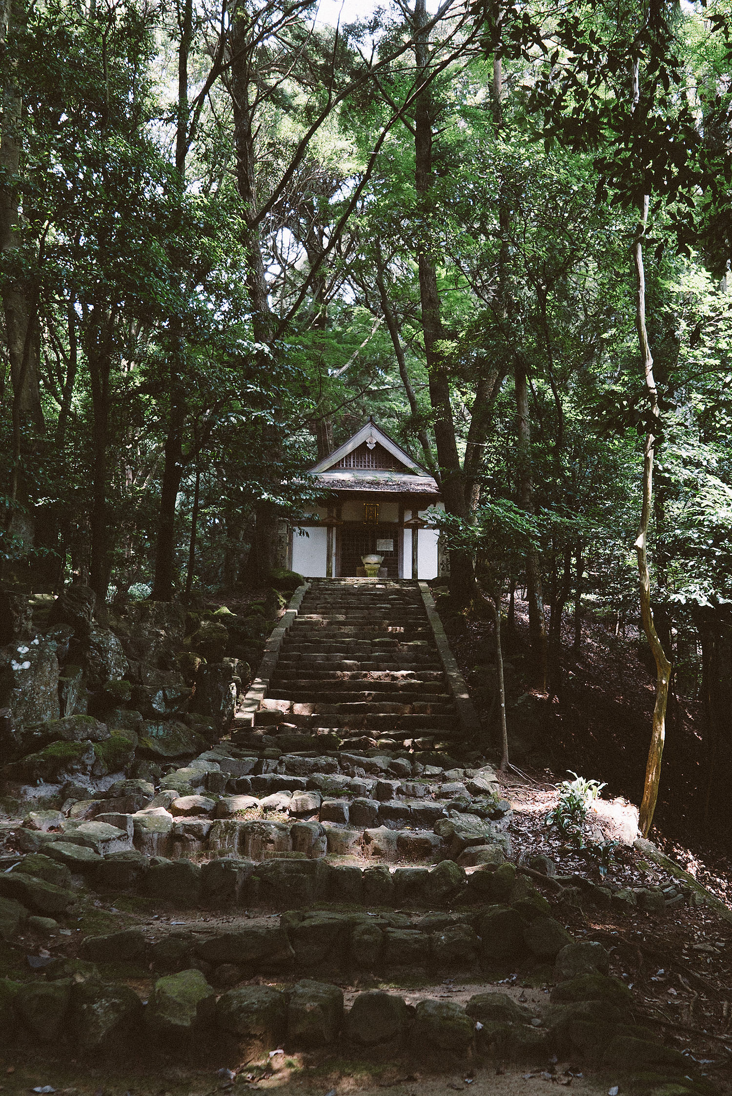 How Zen Buddhism Helped Me Find Christ