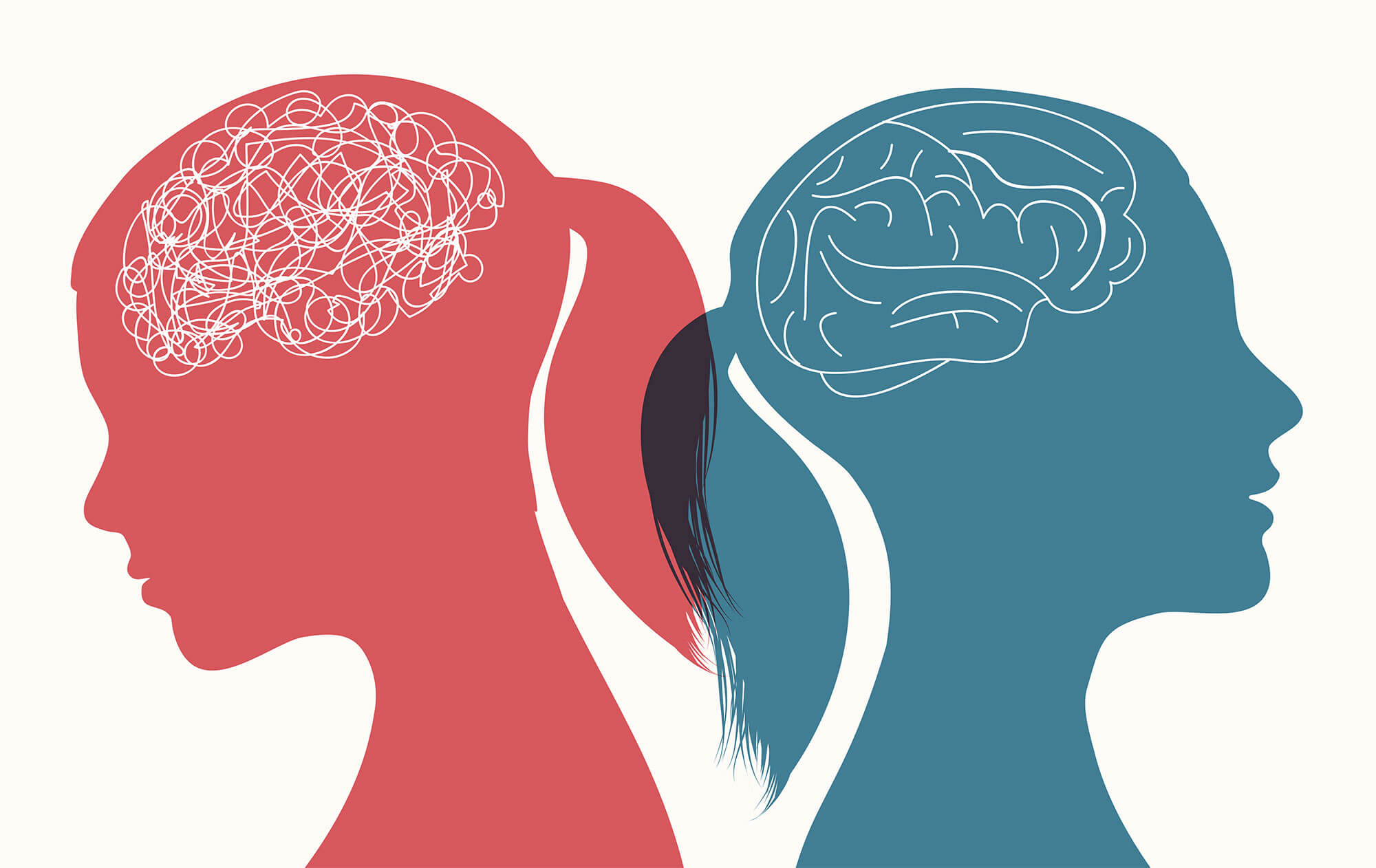 An illustration featuring silhouettes of two women and their brains; one women's brain is drawn more haphazardly than the other's