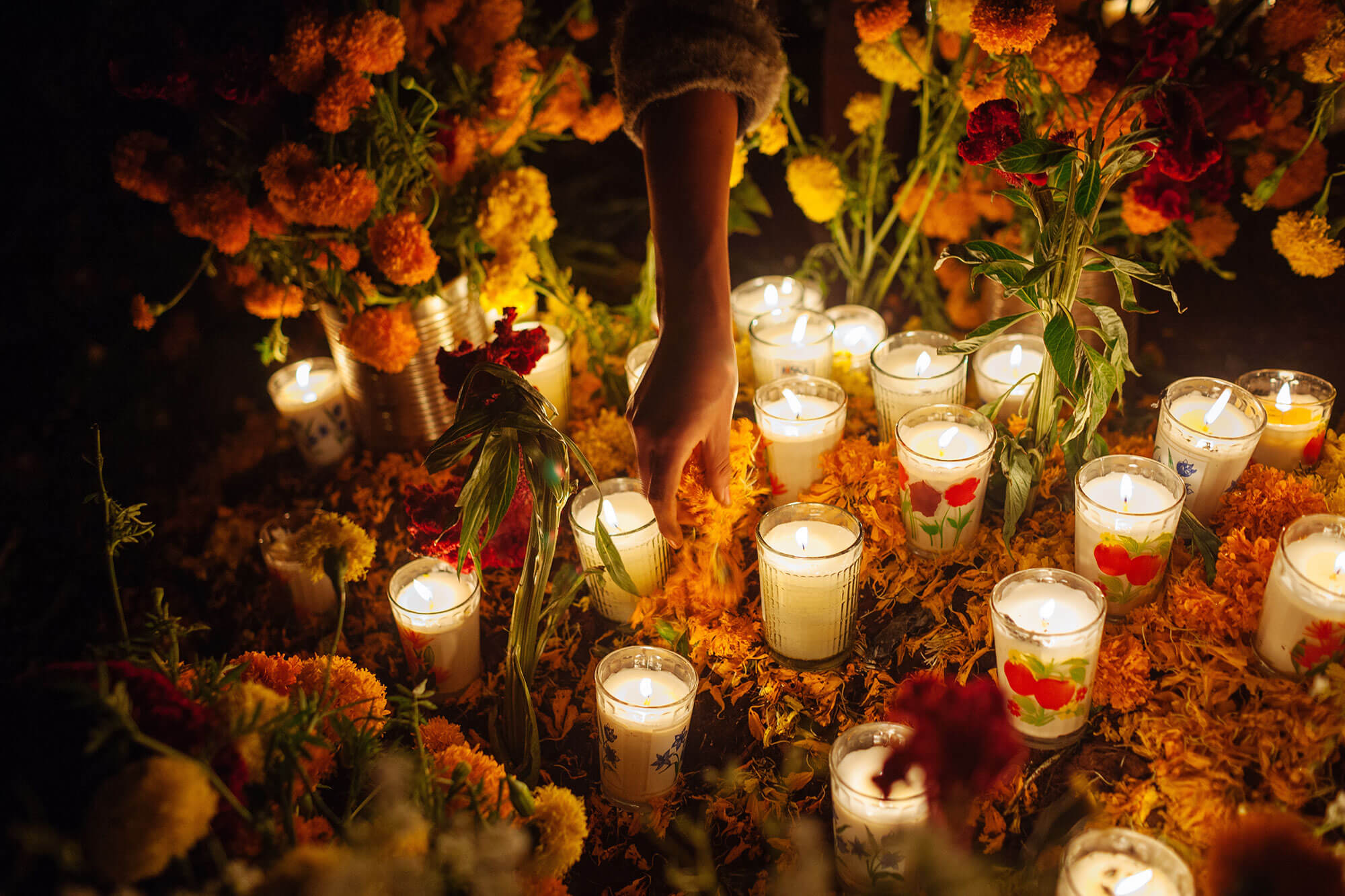 A woman places marigold flower petals in an offering during the Day of the Dead in Tzintzuntzan, Mexico A woman places flower petals in an offering during the Day of the Dead in Mexico.