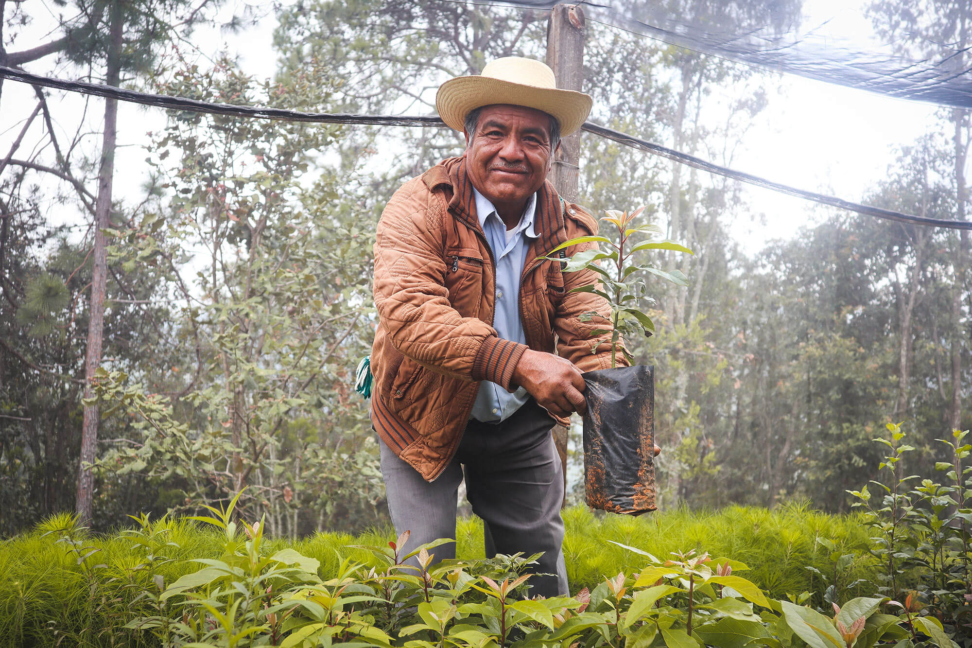 A man wearing a brown jacket and cowboy hat holds up a small tree sapling.