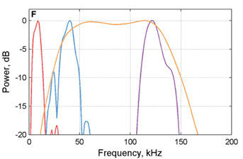 All About Echolocation