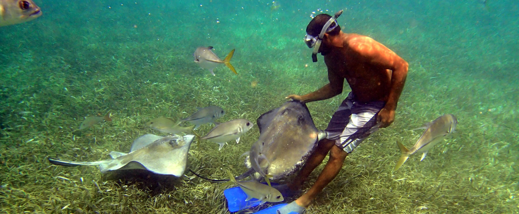 snorkeling-diving-swimming-belize