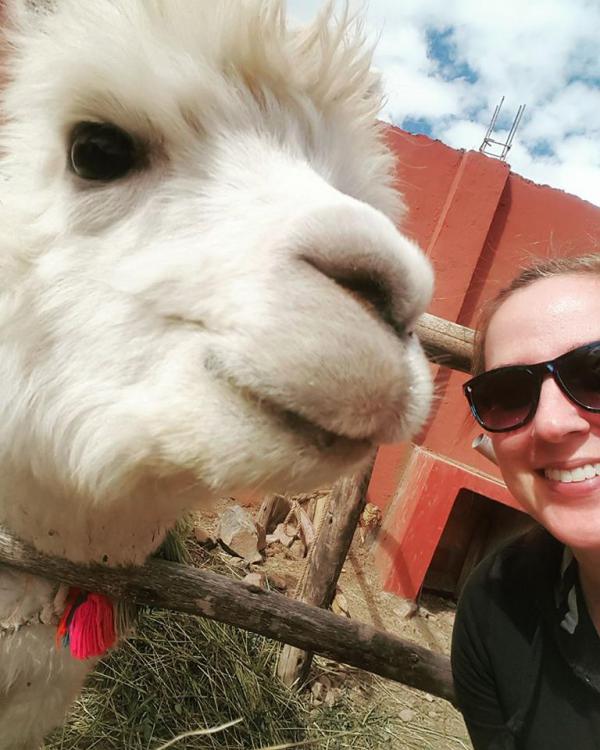 blog-I-Left-a-Piece-of-My-Heart-in-Peru-alpaca.jpg