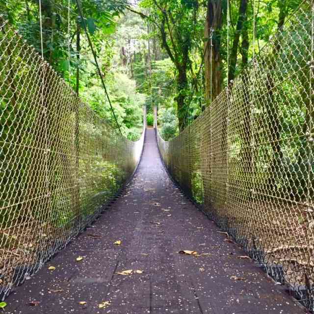 hanging-bridge-in-costa-rica