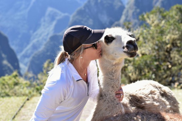 blog-The-Best-Experience-Themes-of-2017-llamas.jpg