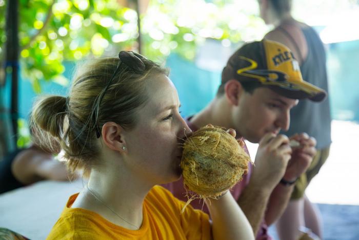 blog-How-We-Support-Sustainable-Tourism-in-Costa-Rica-coconut.jpg