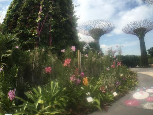 singapore-hanging-gardens