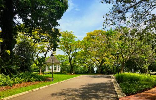 singapore-botanical-gardens