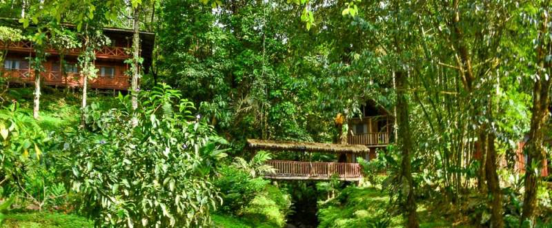 blog-Our-Most-Heart-Pumping-Trip-Yet-Costa-Rica-Adrenaline-views