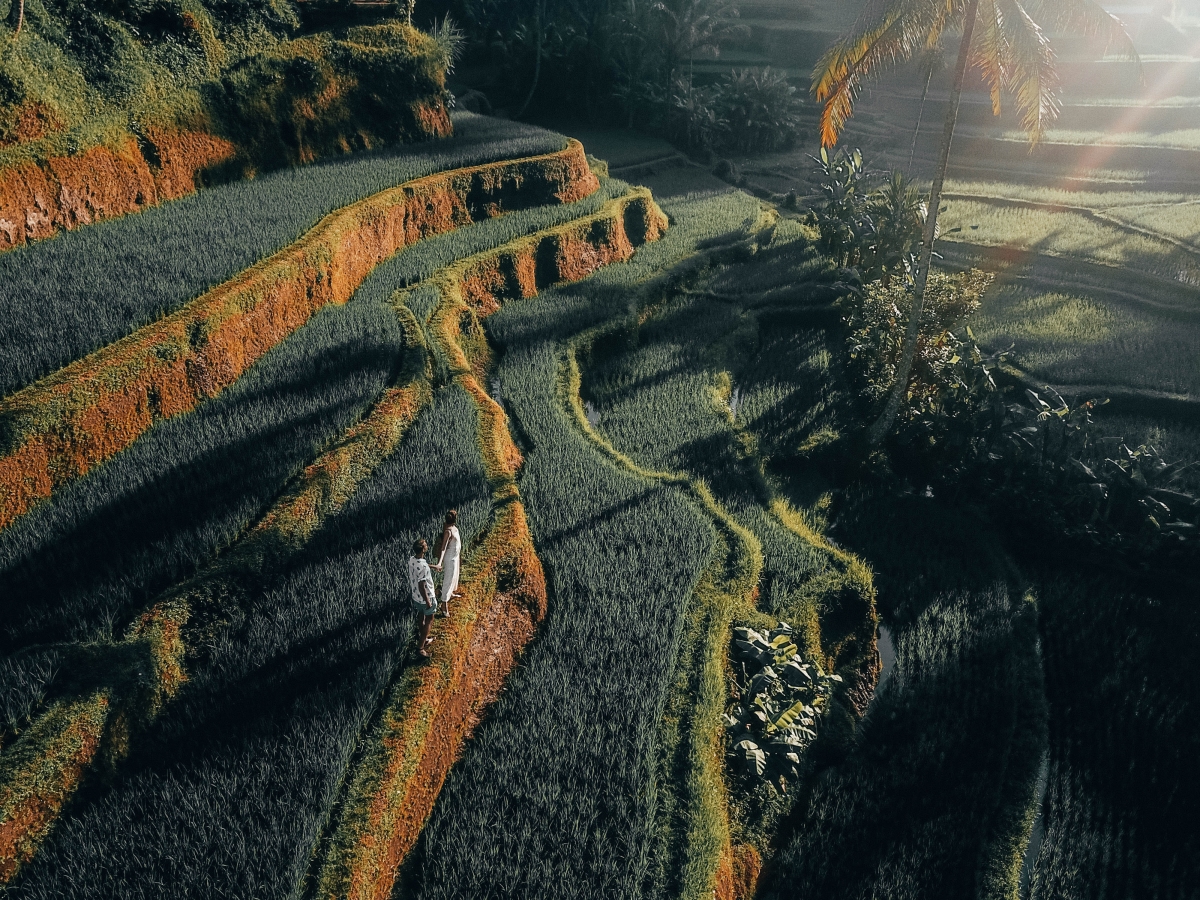 Best Places To Visit In Bali For Young Adults