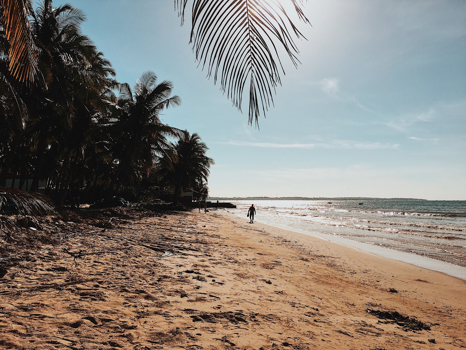 coconut-beach-haven-vietnam