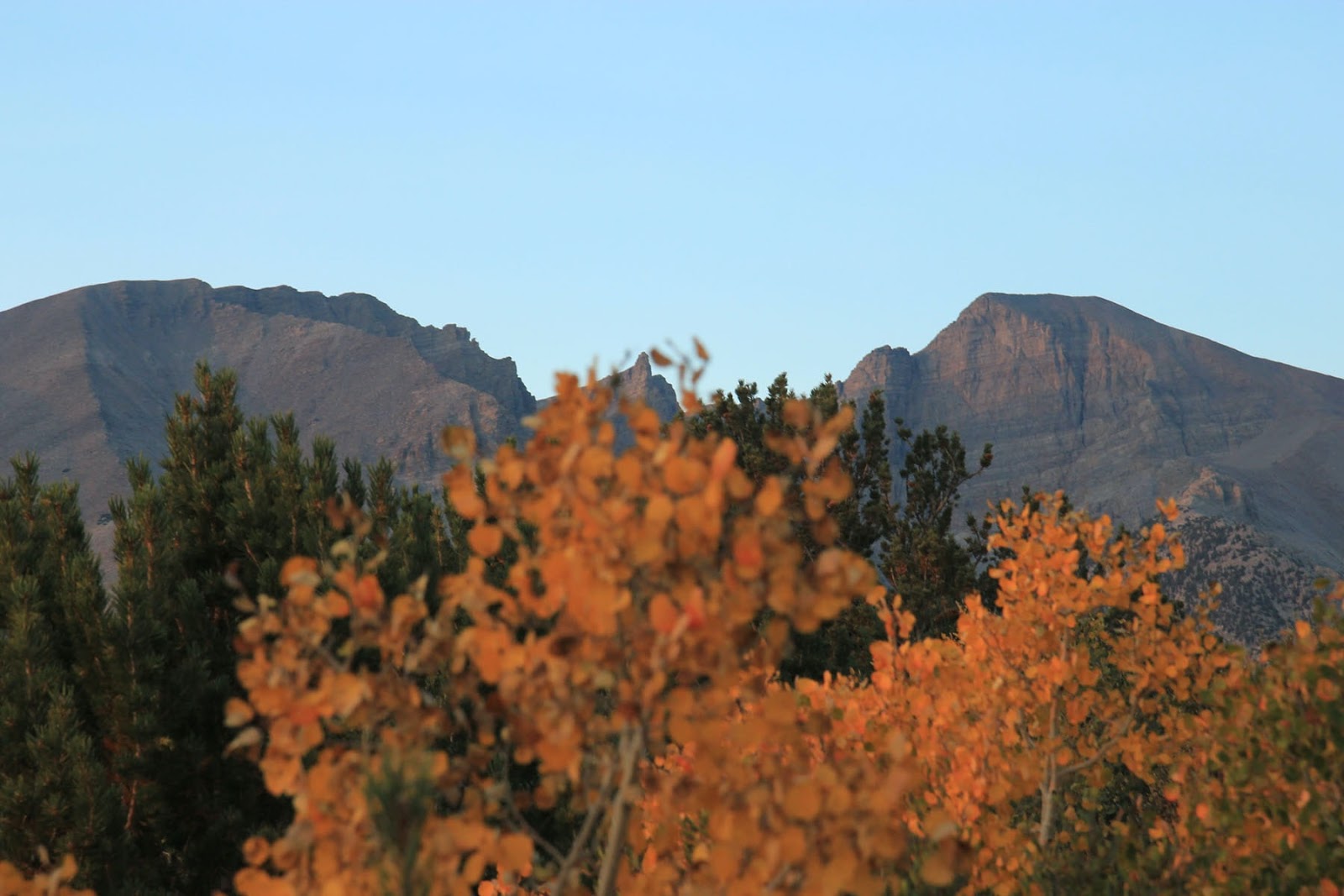  A view of the mountains from Great Basin National Park