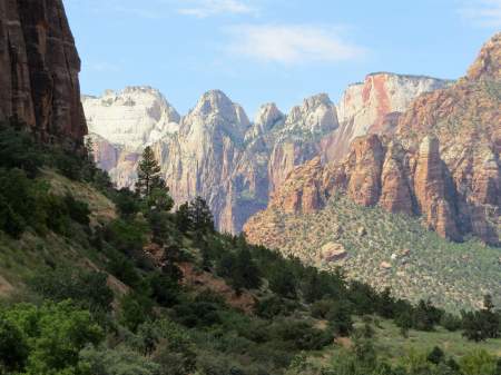 Forests and mountain views at Zion National Park