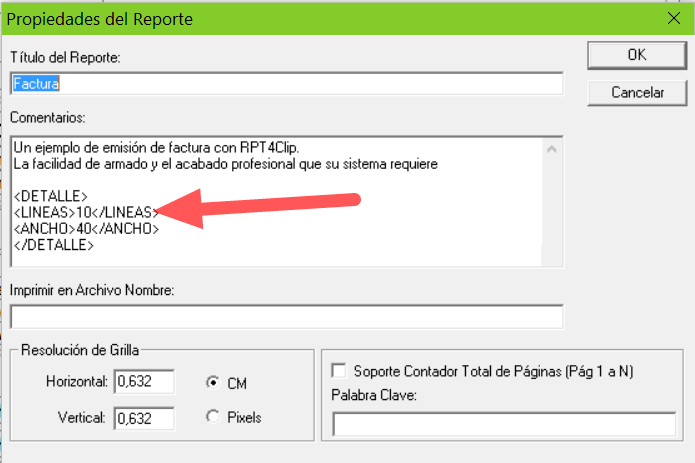Propiedades del Reporte factura
