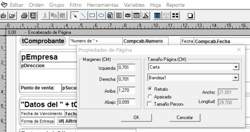 Seleccionando la casilla de verificación, se habilitarán los campos "Ancho" y "Longitud" para que puedas ingresar las medidas que desees