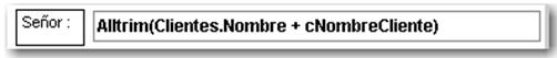 Dale clic sobre el campo a Editar. En este caso, es el de texto fijo que dice: Señor.