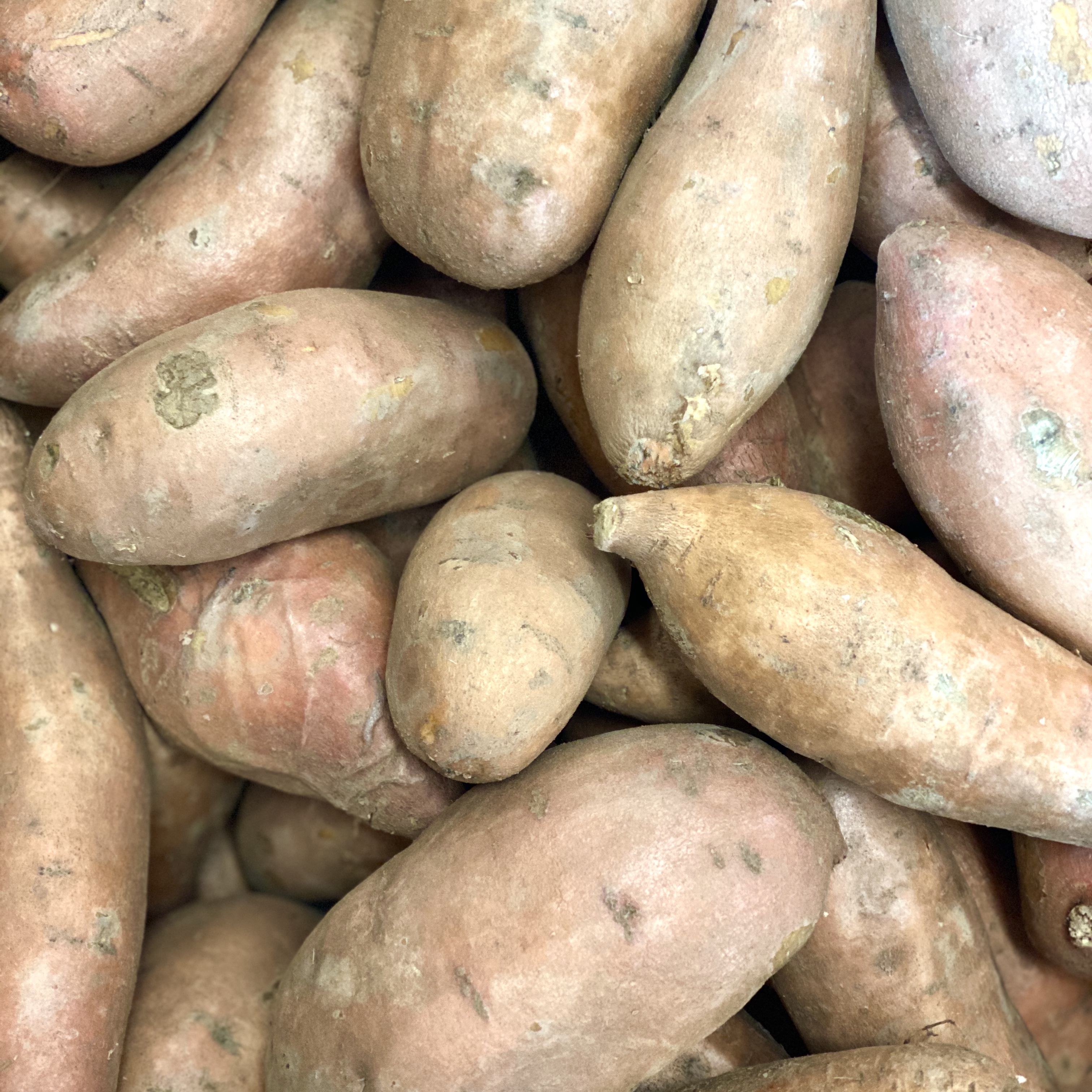 Sweet Potato / Yam (2 lb Bag)