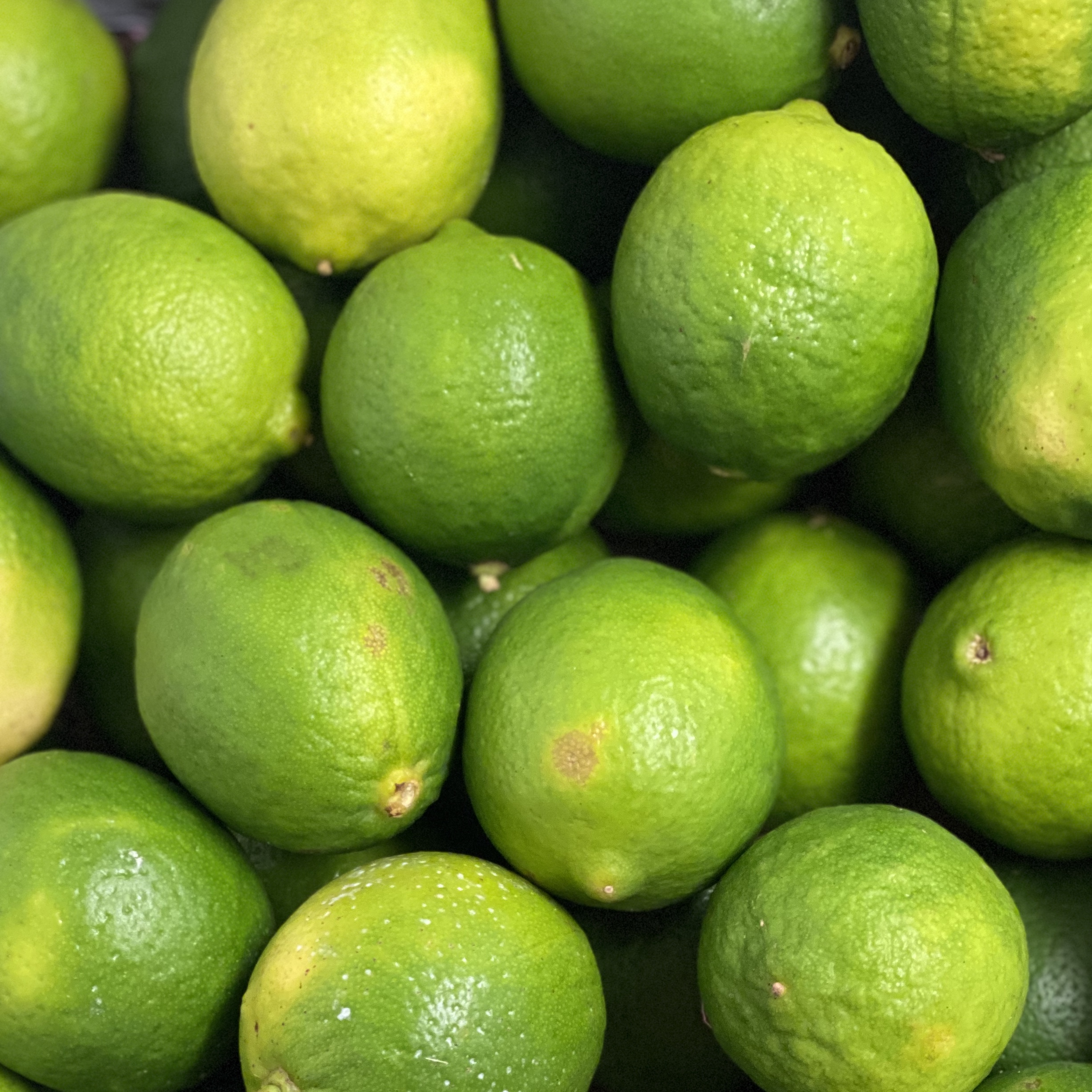 Limes (2 Pack)