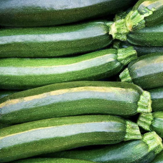 Green Zucchini (2 Pack)