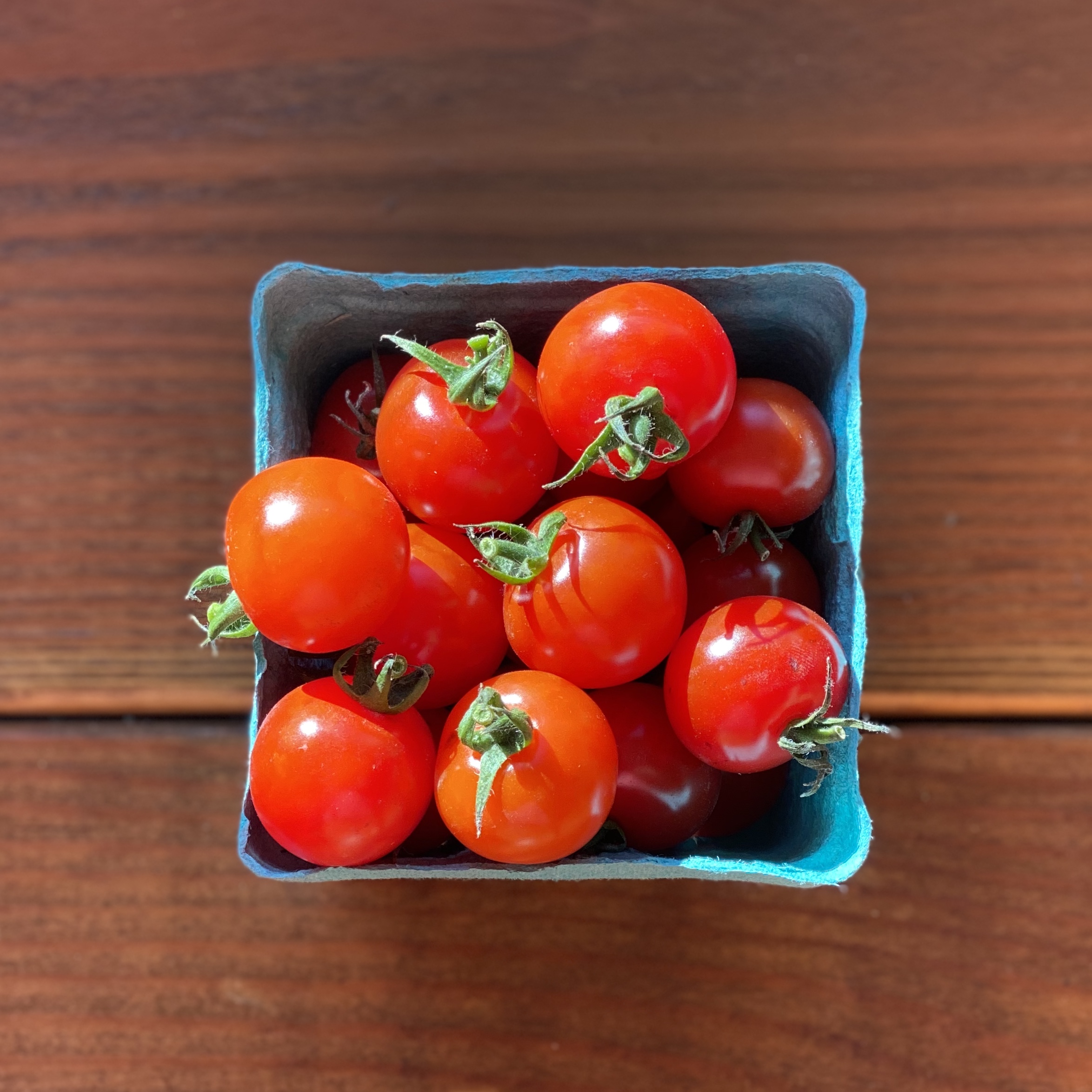 Jersey Cherry Tomatoes