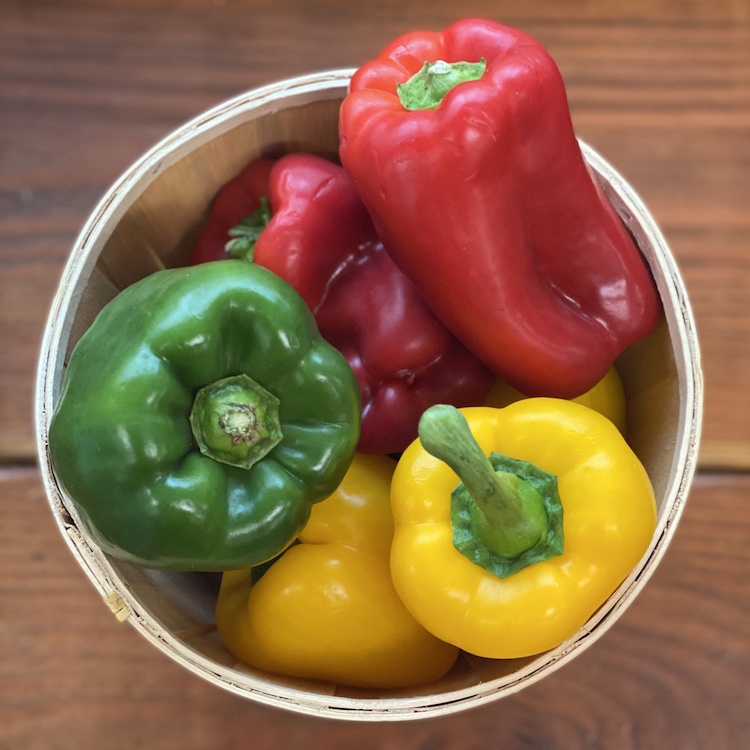 Yellow Peppers (Pack of 3)