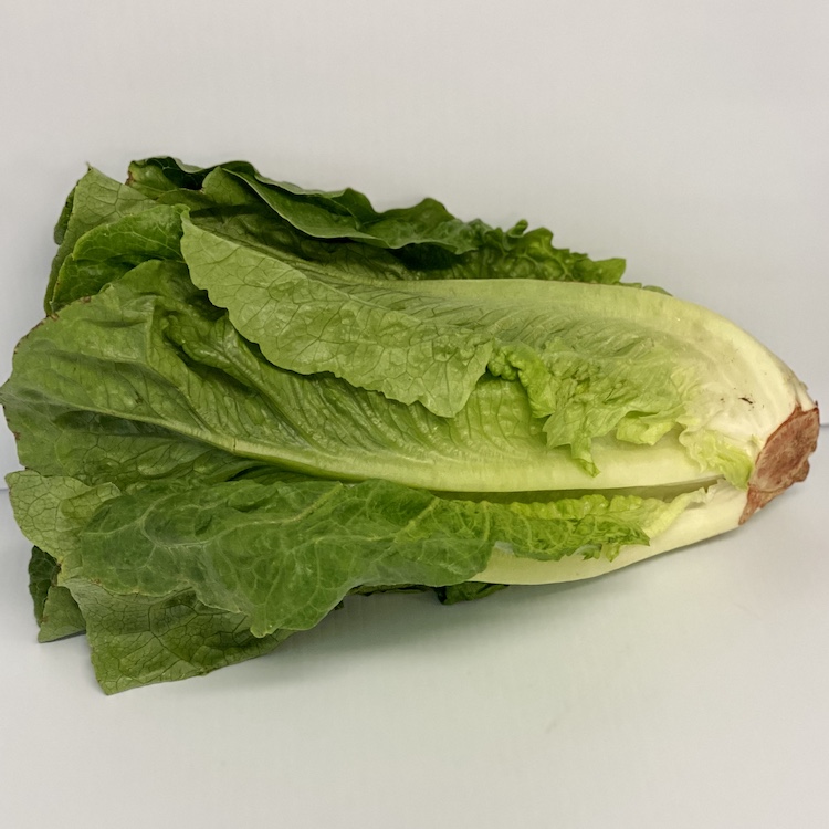 Romaine Lettuce