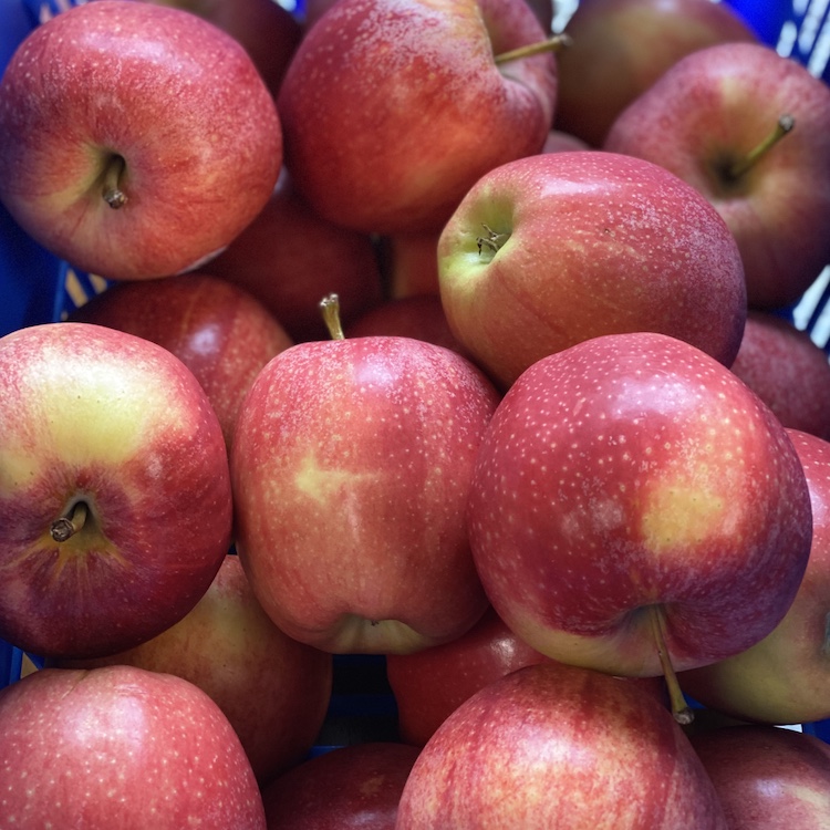 Apples (6 Pack)