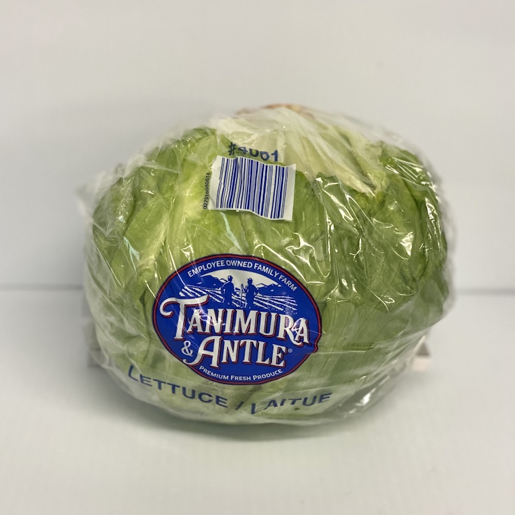 Iceberg Lettuce