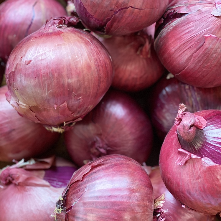 Red Onion (2 Pack)