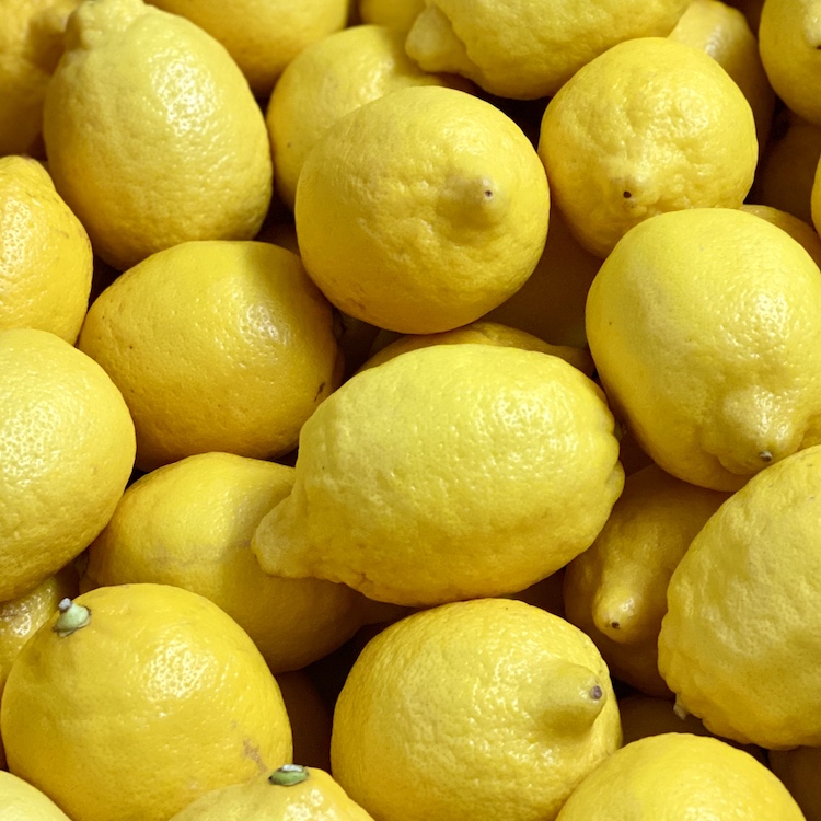 Lemons (2 Pack)