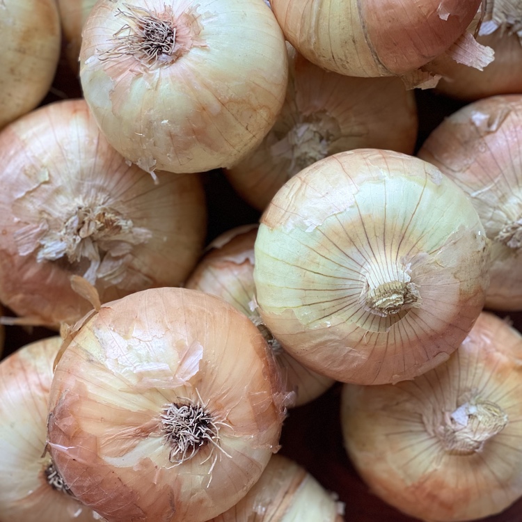 Yellow Onion (Pack of 3)