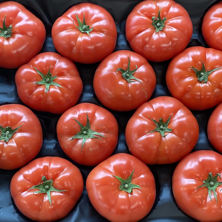 Jersey Tomatoes (2lb bag)