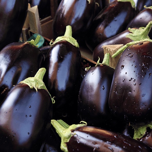 Jersey Eggplant (per piece)