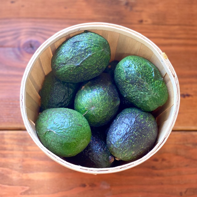 Avocado