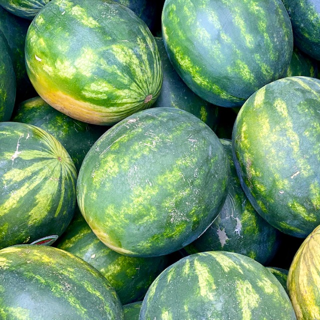 Large Seedless Watermelon
