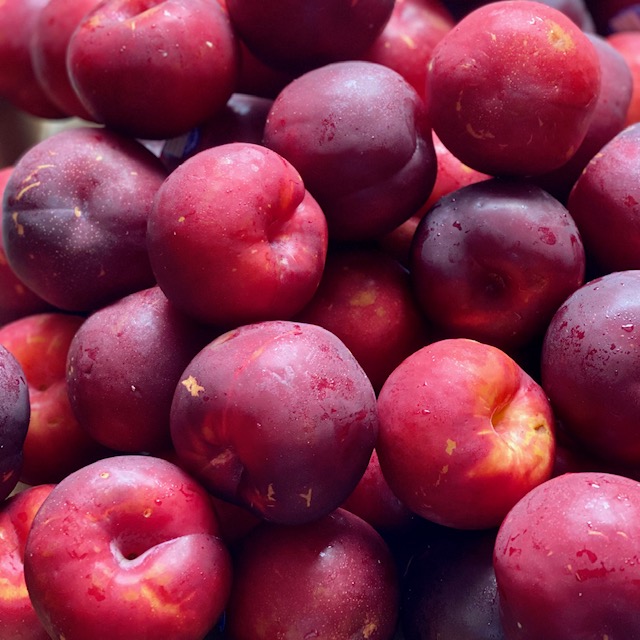 Plums (4 Pack)