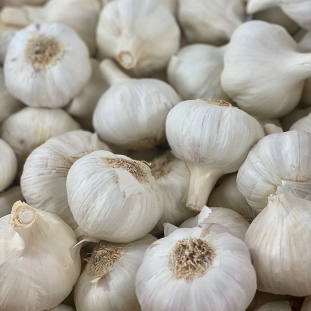 Garlic (Per Piece)