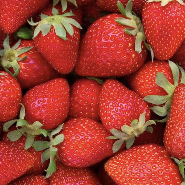 Strawberries (1lb pack)