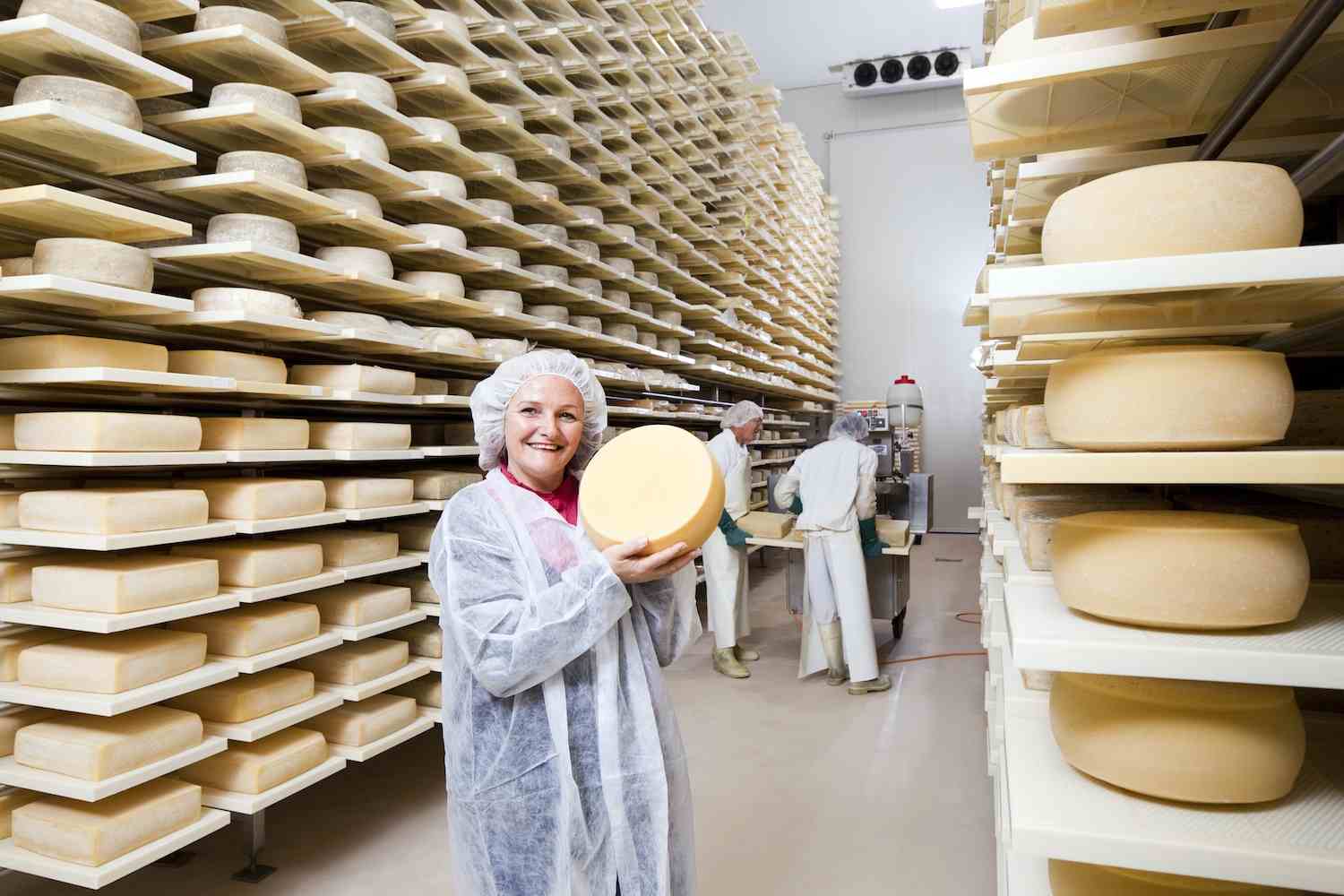 Cheese Manufacturing
