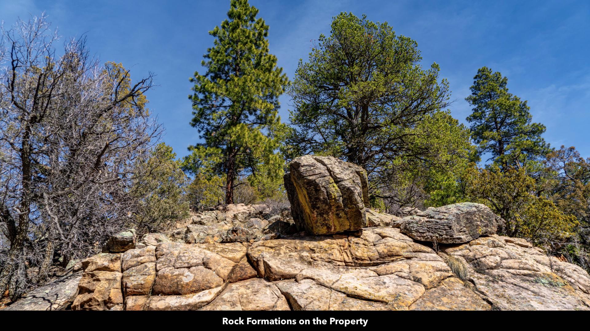 20 Wooded Mountain Acres of Land for Sale in New Mexico by the Cibola