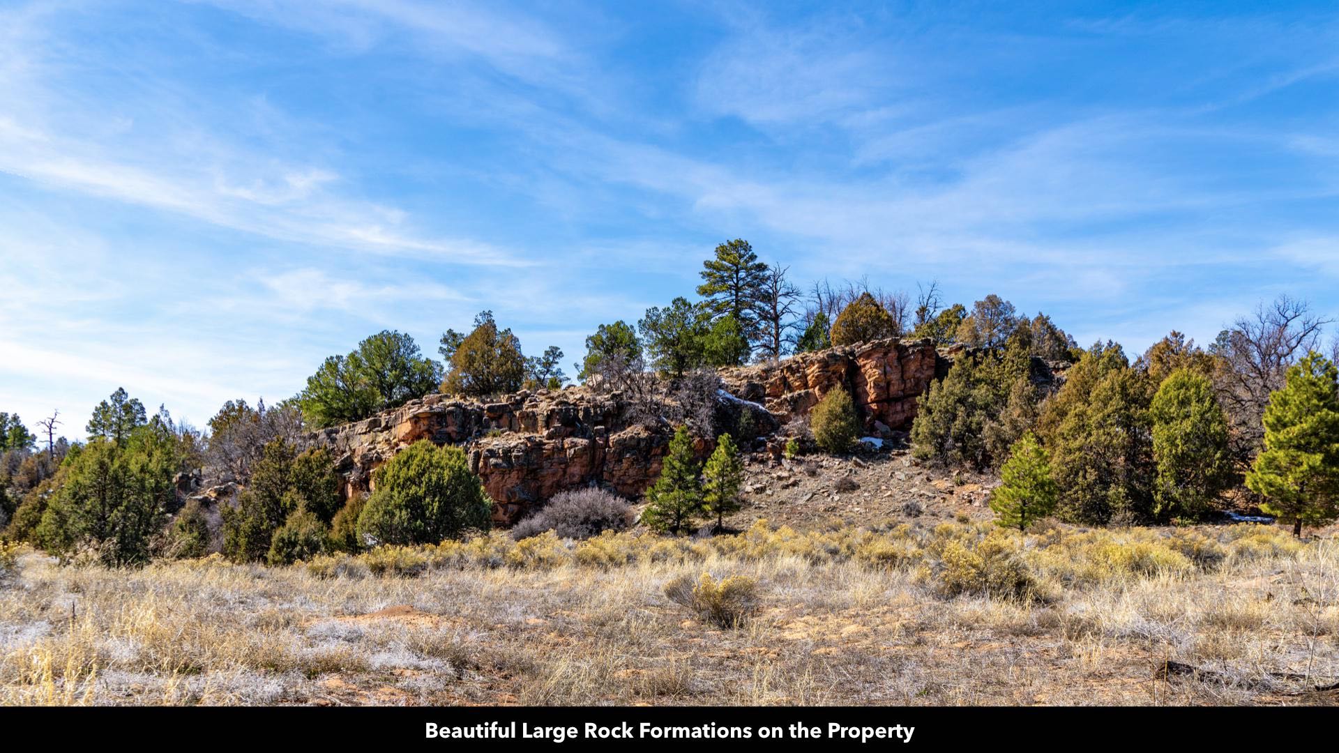 20 Wooded Mountain Acres of Land for Sale in New Mexico by the Cibola