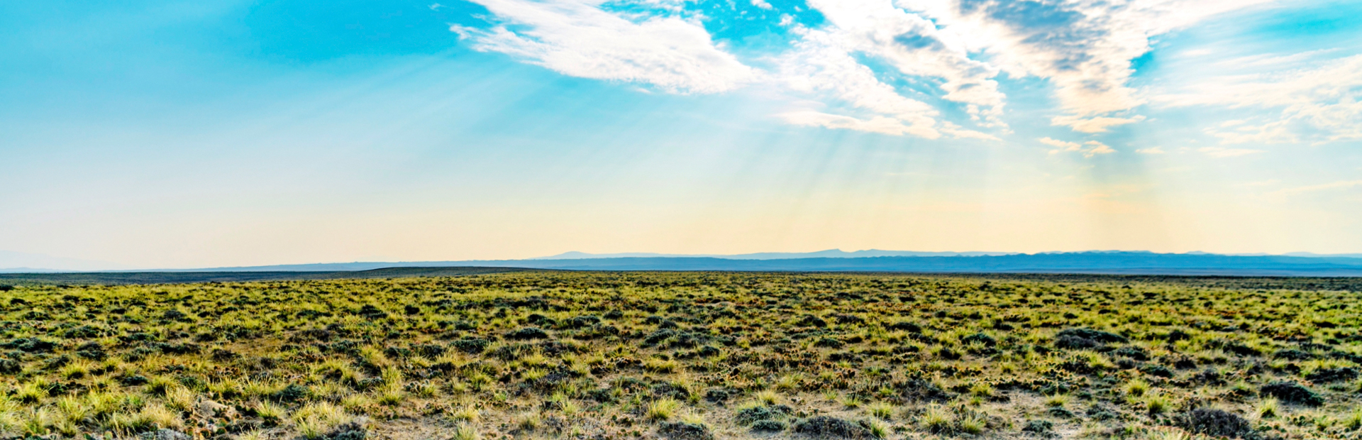40 Acre Ranch Land for Sale in Wyoming
