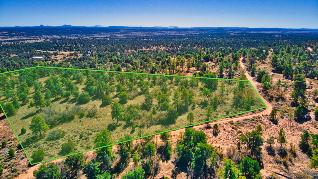 20 Wooded Mountain Acres of Land with Electricity for Sale in New