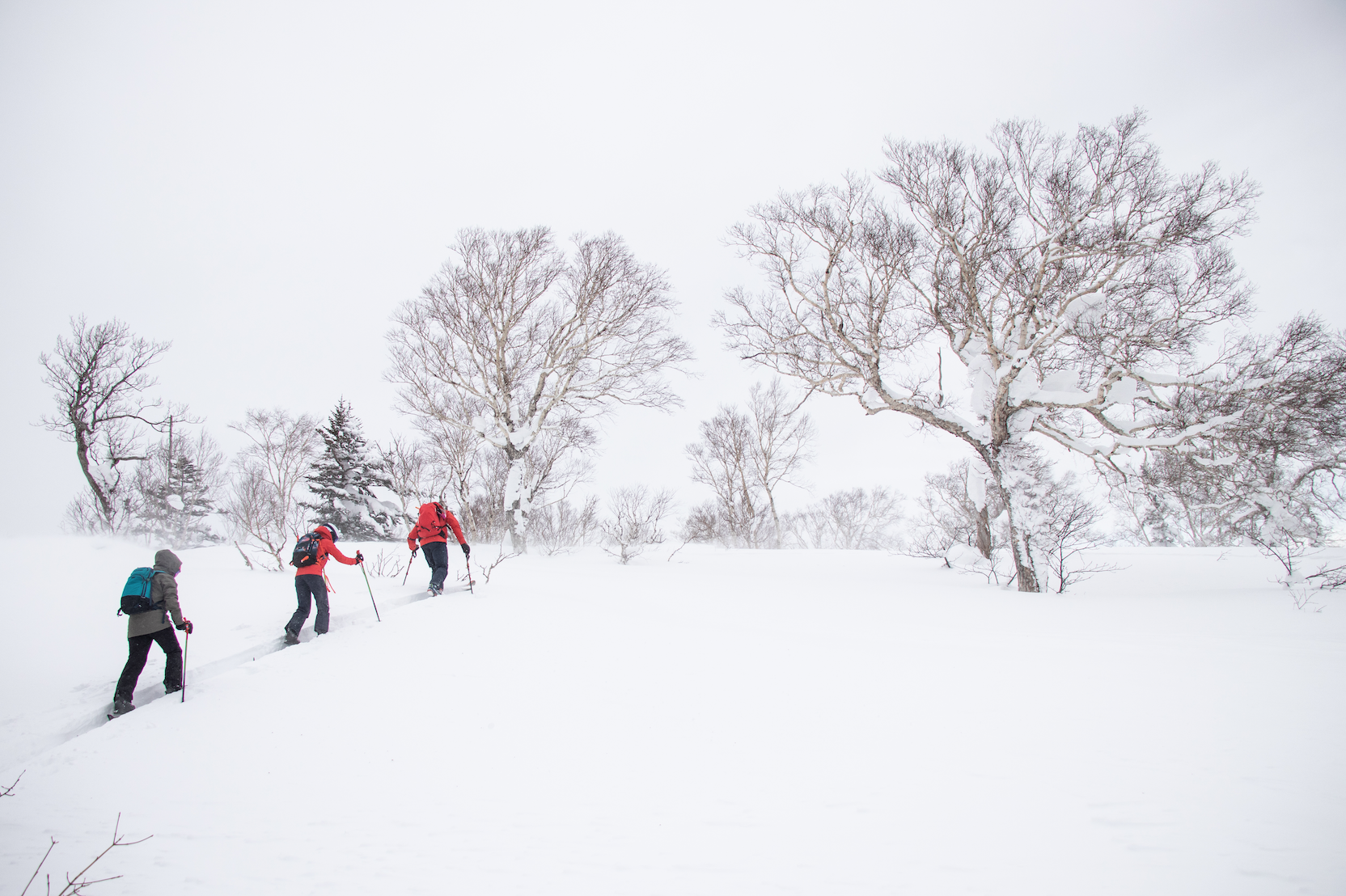 skiing in japan