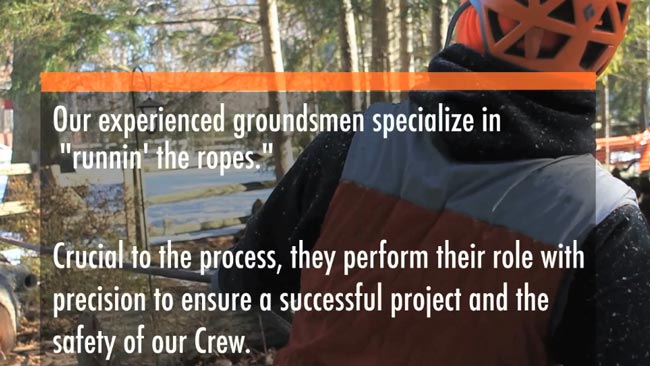 Princeton Tree Care - Premier Tree Service & Removal